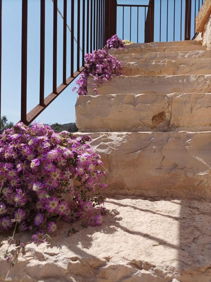 Villetta Cipolliane Santa Maria di Leuca Eksteriør billede