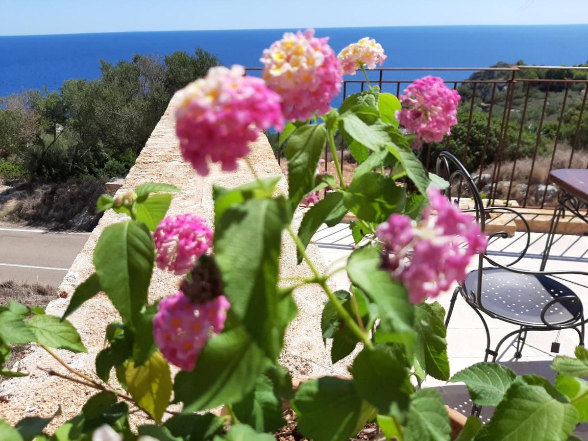 Villetta Cipolliane Santa Maria di Leuca Eksteriør billede